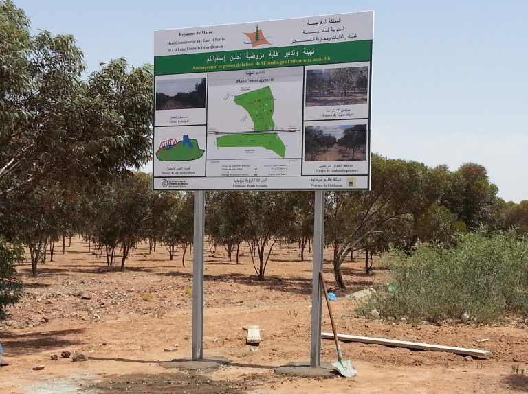 66350633_1167383690101158_9111950543562997760_n