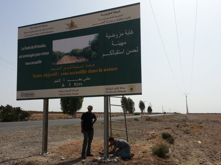 66781597_1167384273434433_2777752373357969408_n