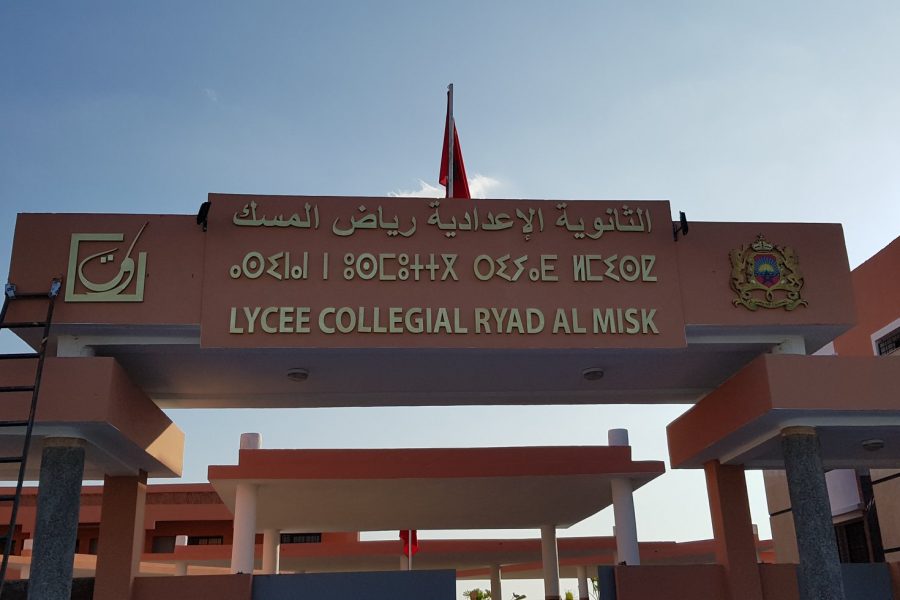 50632925_1062166560622872_3202256594318393344_n