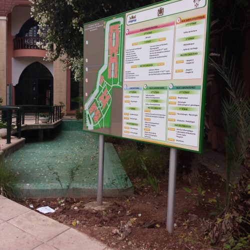 66220416_1167338603439000_8617187752925986816_n