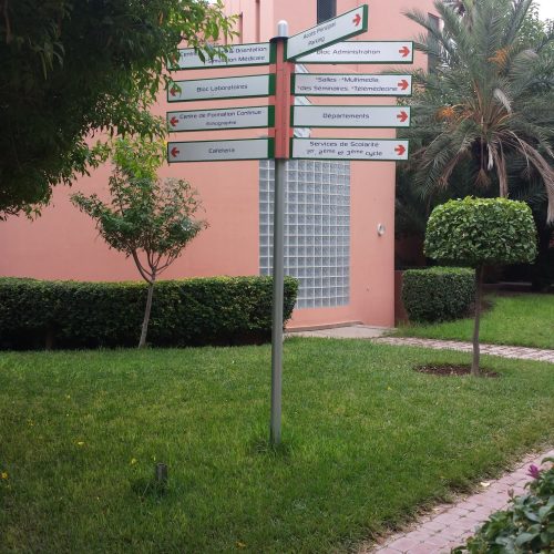 66501225_1167339510105576_2130722456522981376_n